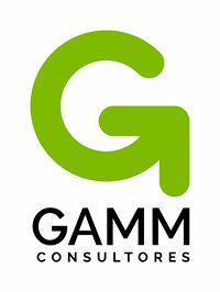 GAMM Consultores
