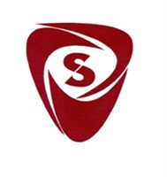 Servicios Complejos de Seguridad
